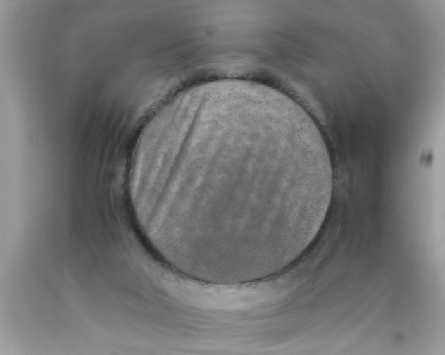 X0000089870018200707262159