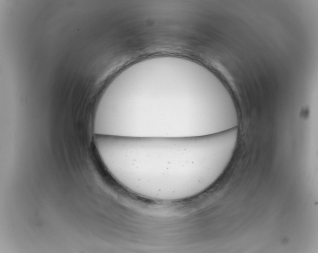 X0000089870020200707262159