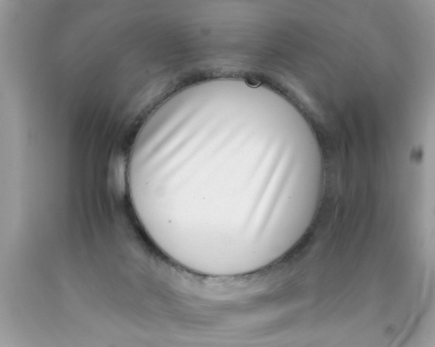 X0000089870022200707262159