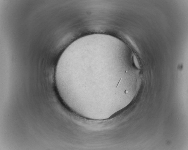 X0000089870023200707262159