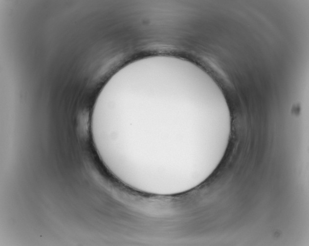 X0000089870024200707262159