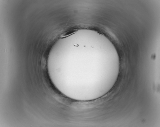 X0000089870025200707262159