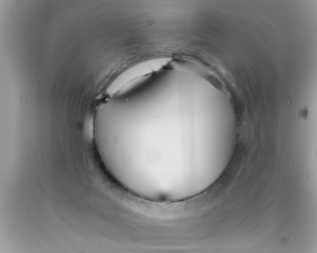 X0000089870027200707262159
