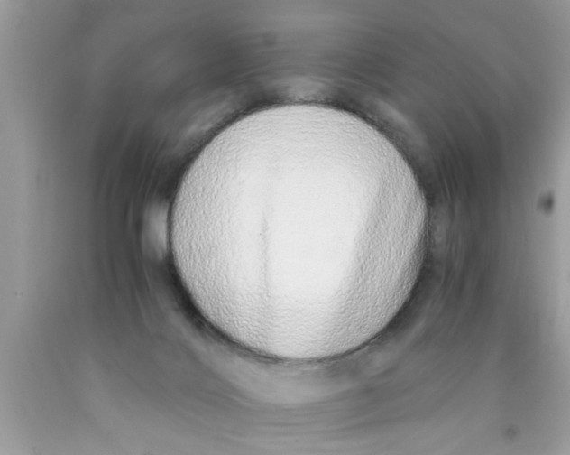 X0000089870028200707262159