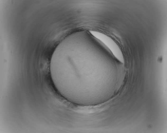 X0000089870029200707262159