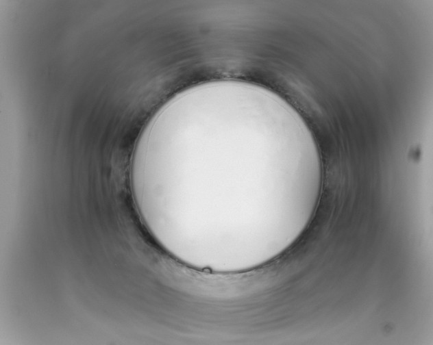 X0000089870030200707262159