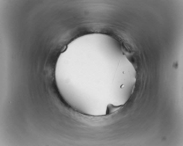 X0000089870031200707262159
