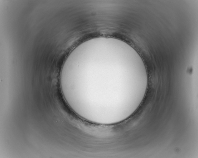 X0000089870032200707262159