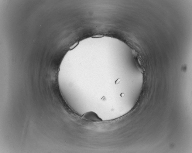 X0000089870033200707262159