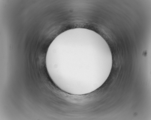 X0000089870034200707262159