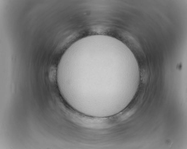 X0000089870036200707262158