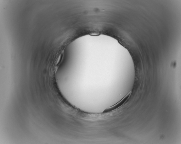 X0000089870037200707262158