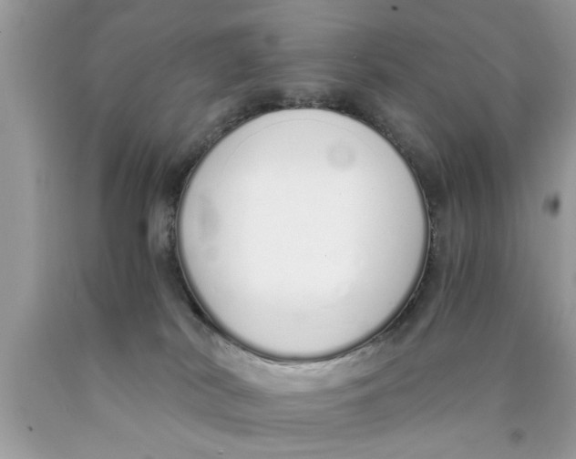 X0000089870038200707262158