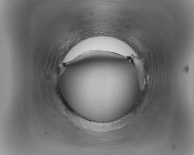 X0000089870039200707262158