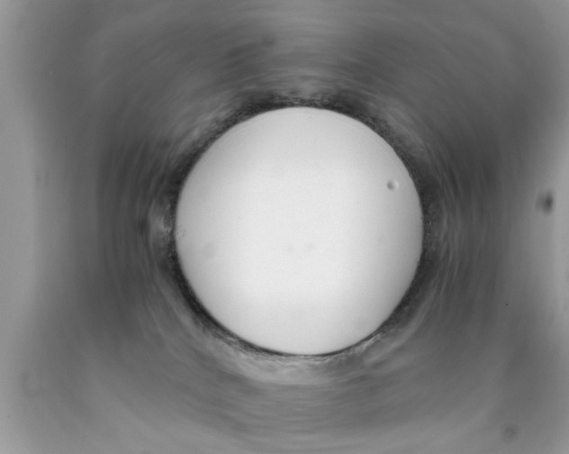 X0000089870040200707262158