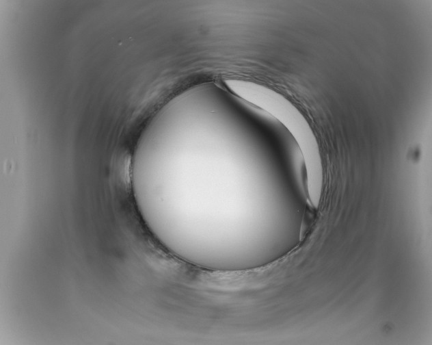 X0000089870041200707262158
