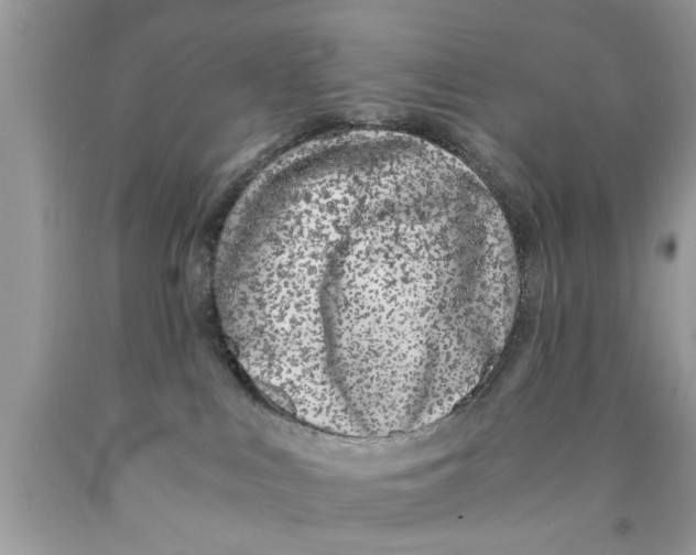 X0000089870043200707262158