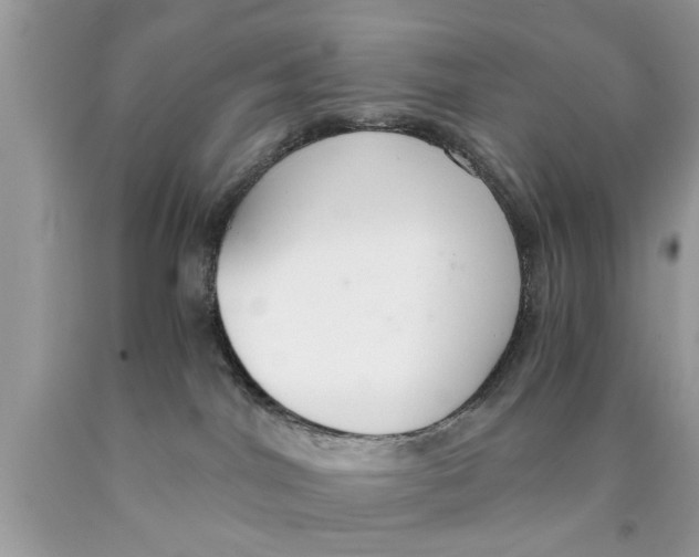 X0000089870044200707262158