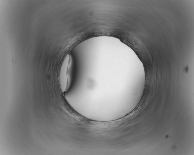 X0000089870045200707262158