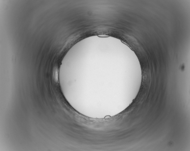 X0000089870046200707262158