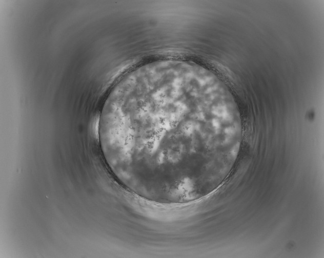 X0000089870047200707262158