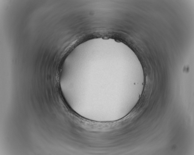 X0000089870048200707262158