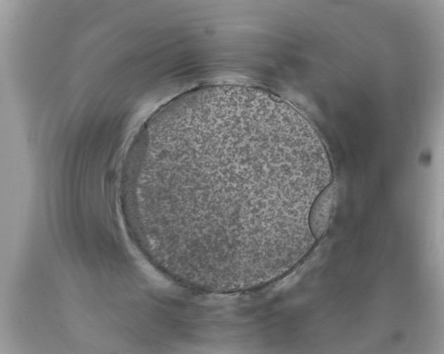 X0000089870049200707262158