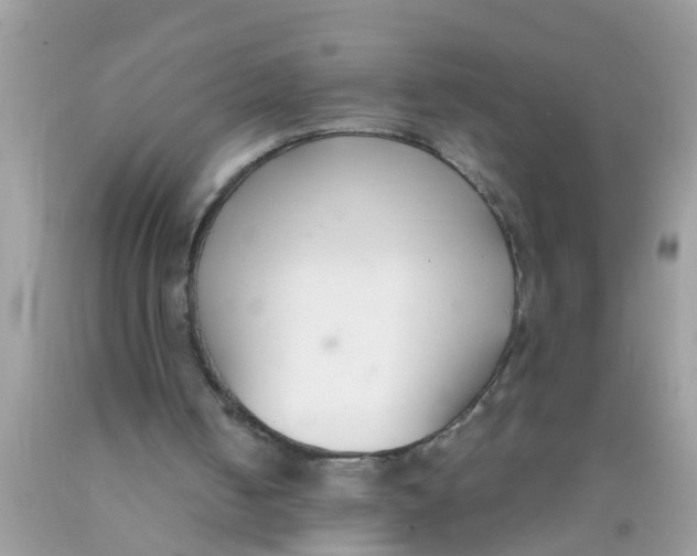 X0000089870050200707262158