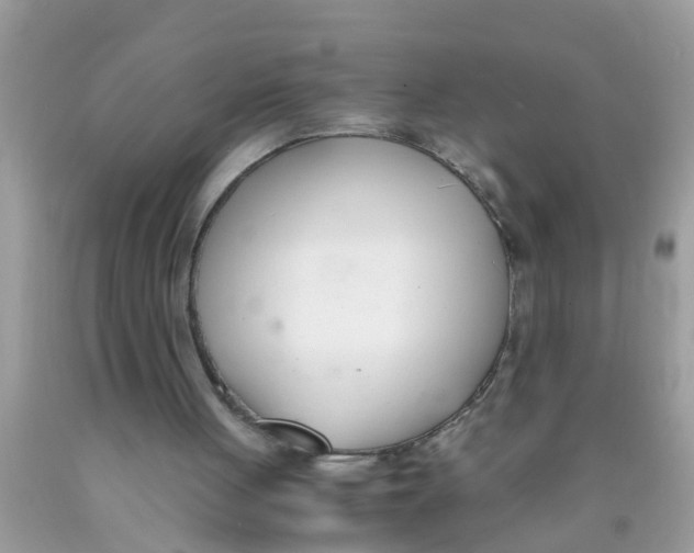 X0000089870051200707262158