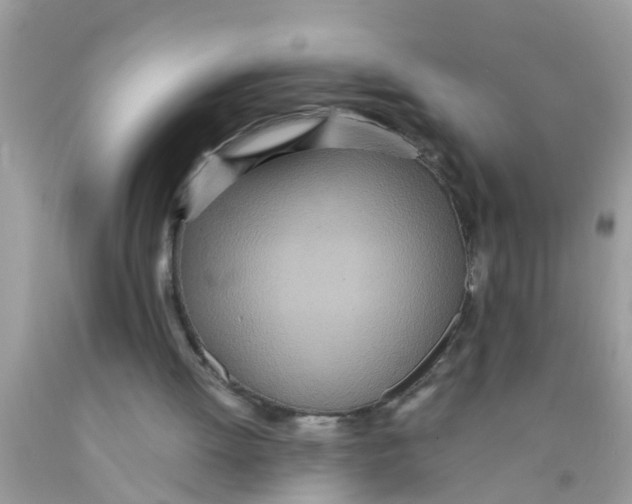 X0000089870052200707262158