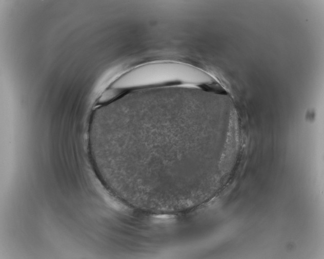 X0000089870053200707262158
