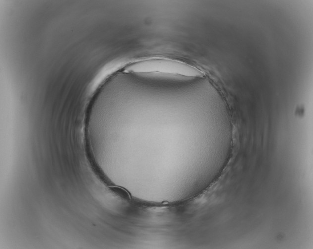X0000089870054200707262158