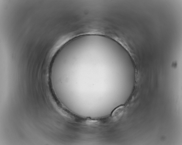 X0000089870055200707262158