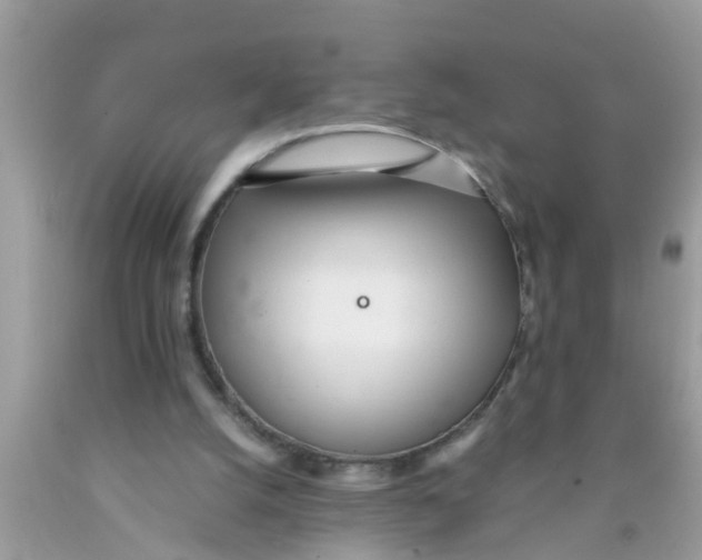 X0000089870056200707262158
