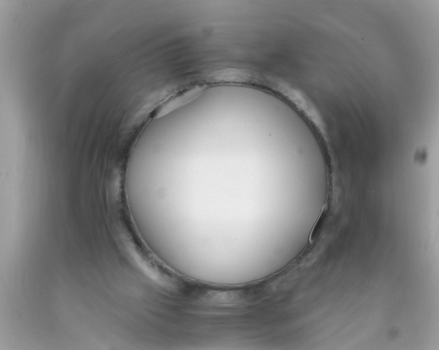 X0000089870057200707262158