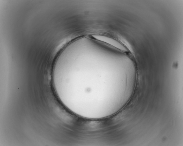 X0000089870059200707262158