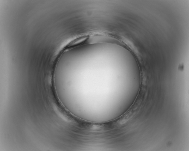 X0000089870060200707262158