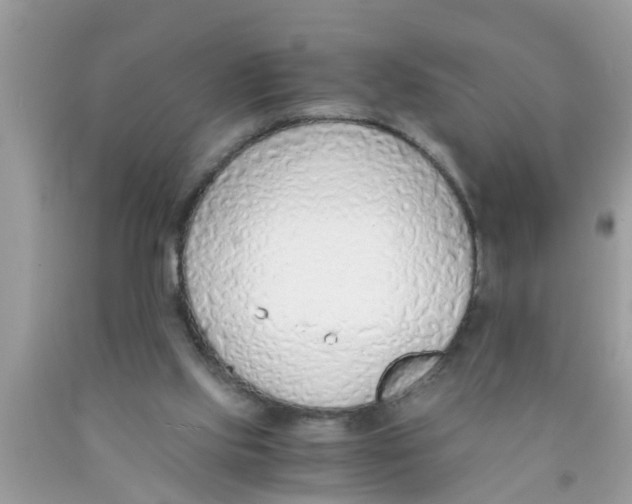 X0000089870061200707262158