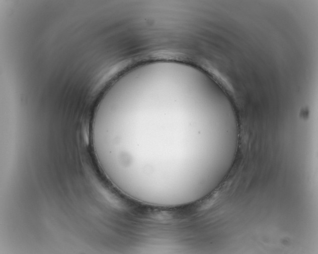 X0000089870062200707262158