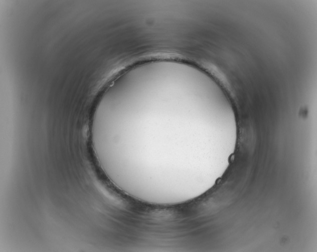 X0000089870063200707262158
