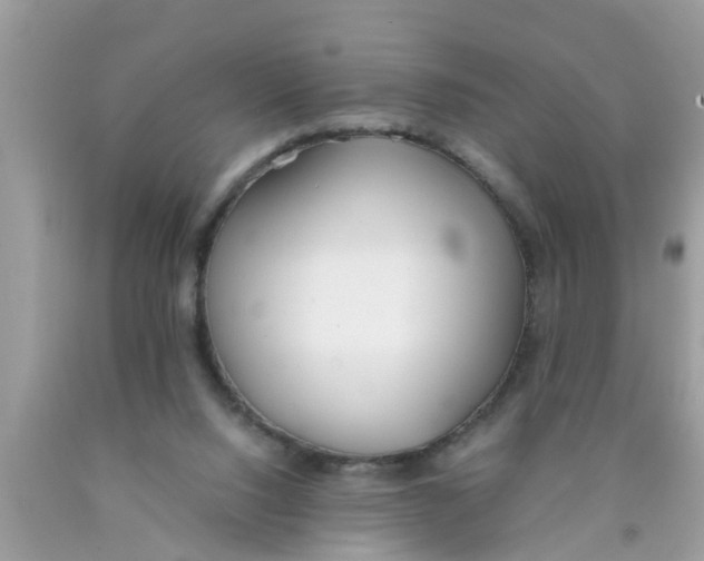 X0000089870064200707262158