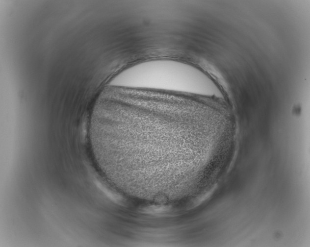 X0000089870065200707262158