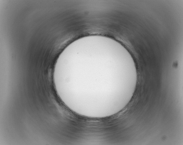 X0000089870066200707262158