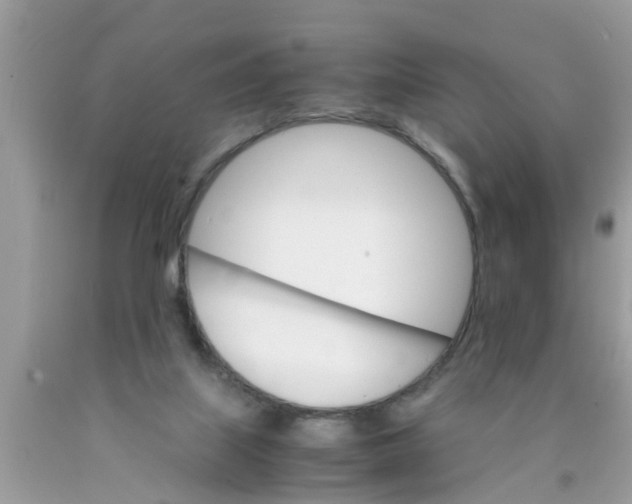 X0000089870067200707262158