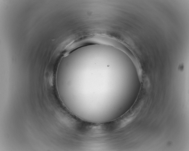 X0000089870068200707262158
