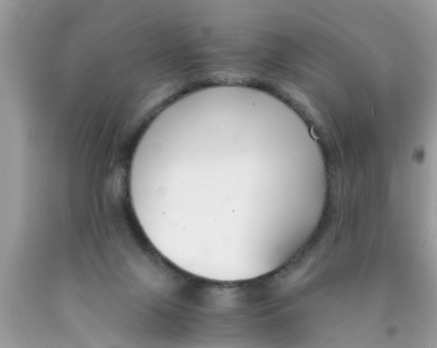 X0000089870071200707262158