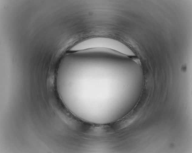 X0000089870072200707262158