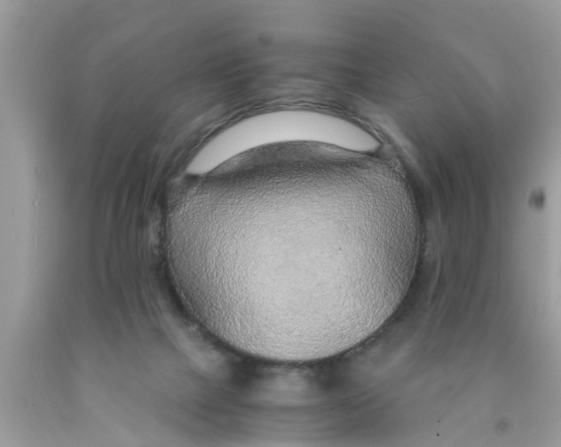 X0000089870073200707262158