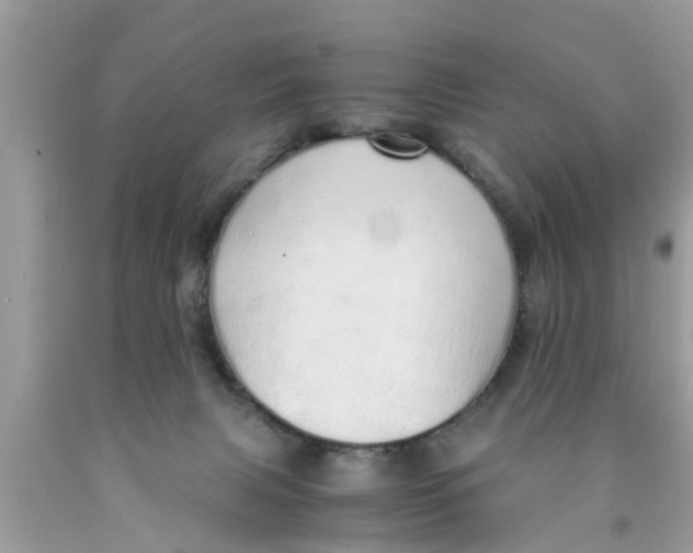 X0000089870079200707262158