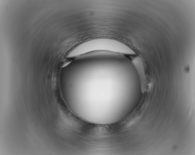 X0000089870080200707262158